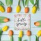 Spring Decor Farmhouse Spring Desk Decorations Wooden Sign, Hello Spring Wood Plaque